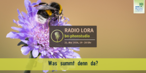 PHONSTUDIO Sendung Mai 2026
